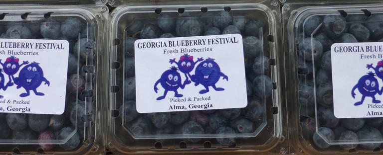 Buy Blueberries Here